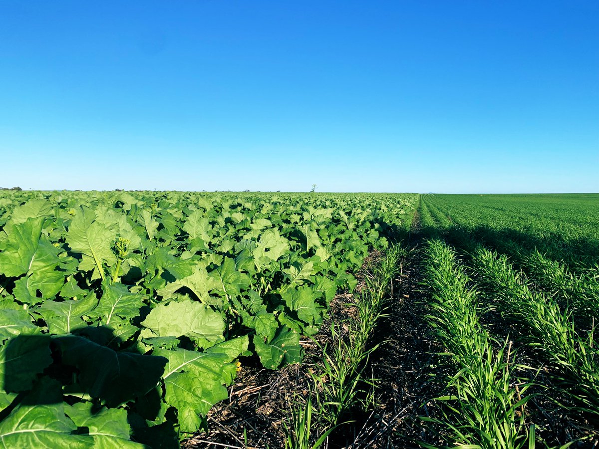 Luke Moroney tweet media