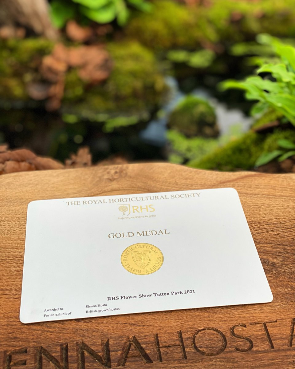 SiennaHosta's tweet photo. Next up for us is RHS Tatton Park Flower Show in Cheshire July 20th-24th. One of our favourite shows and a great opportunity to see some of our wonderful customers in the the north.
#siennahosta #hostas #hosta #Plants #gardening #hostaspecialist #Hostas #ukhostas https://t.co/BImuWCjXJ7