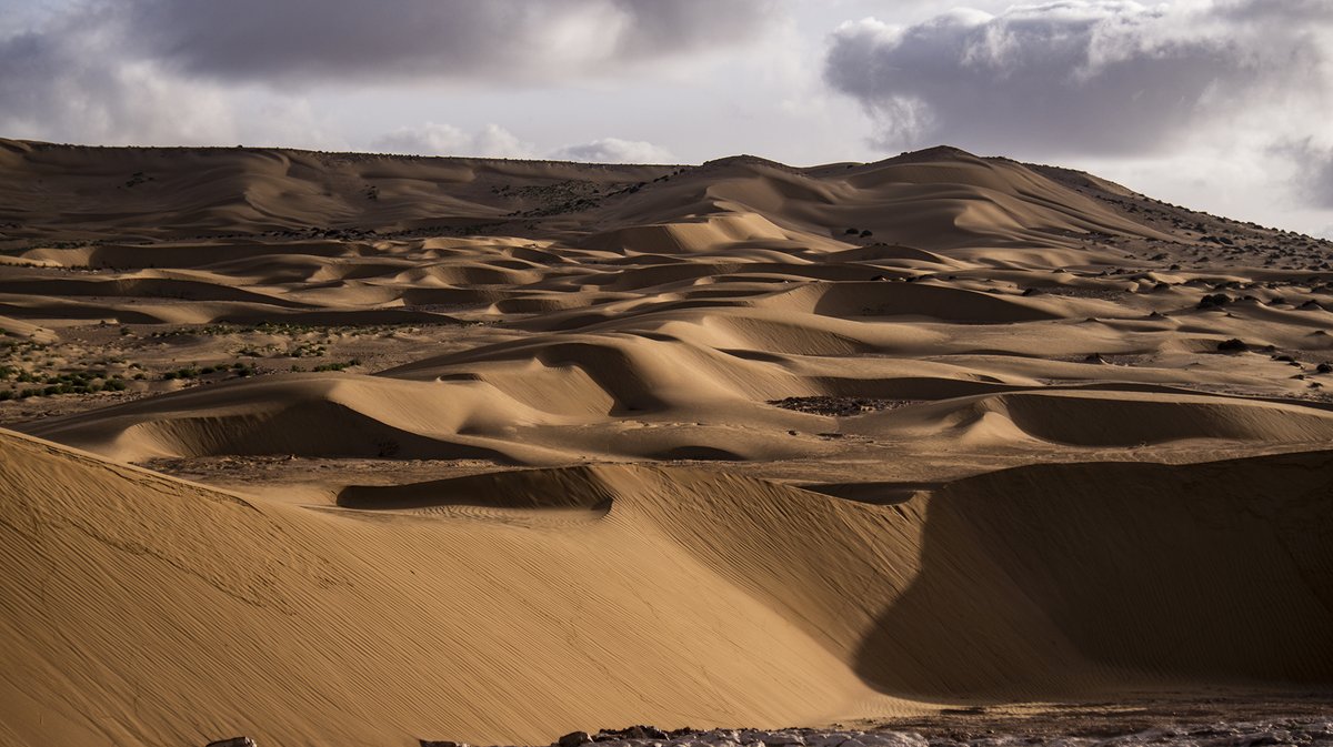 Rallye Du Maroc tweet media
