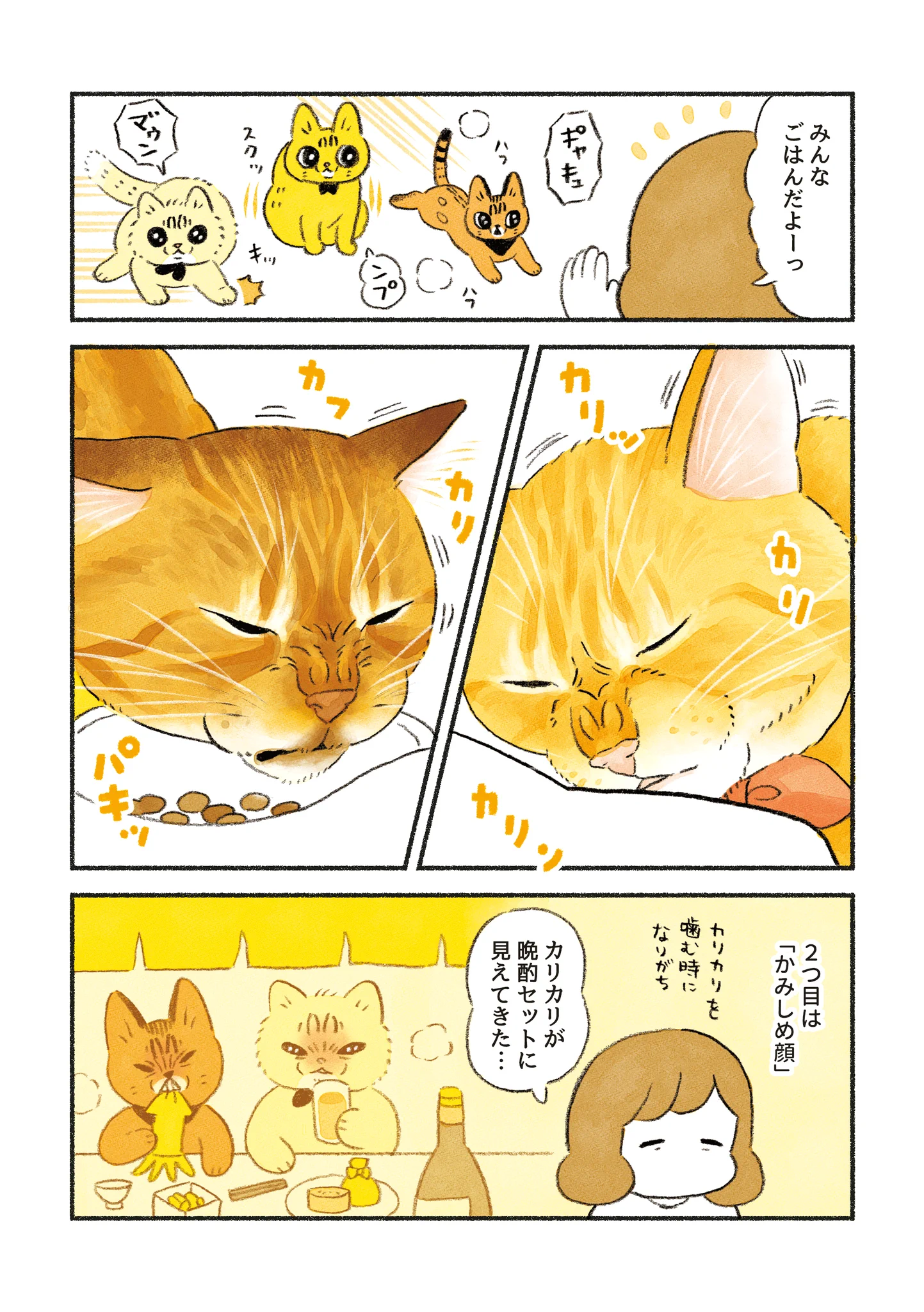 表情豊かで可愛い！愛猫のいろいろな顔芸を描いた漫画が話題に！