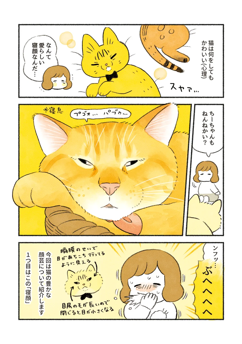 表情豊かで可愛い！愛猫のいろいろな顔芸を描いた漫画が話題に！