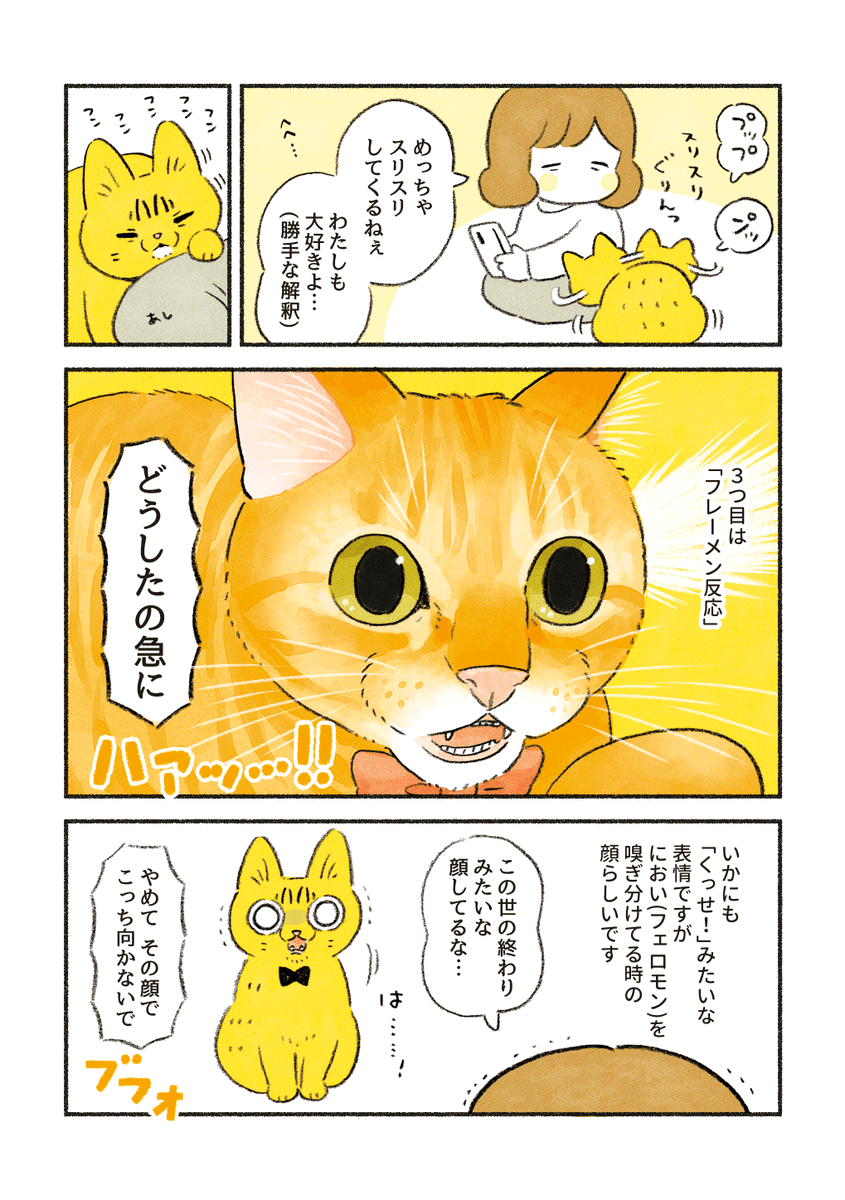 愛すべき顔芸 