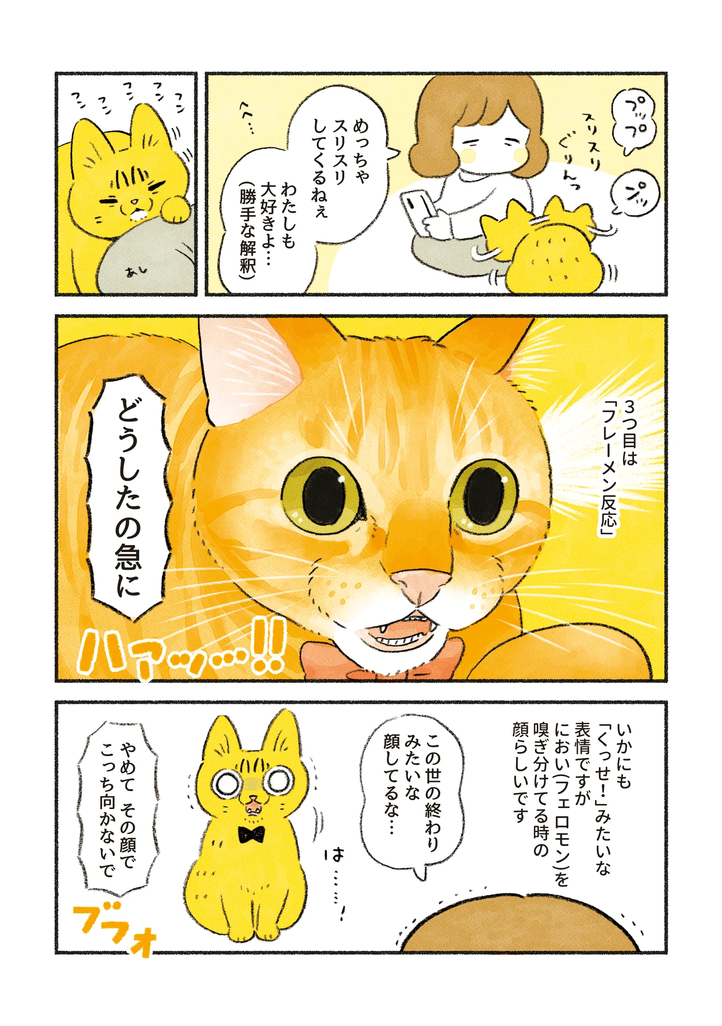表情豊かで可愛い！愛猫のいろいろな顔芸を描いた漫画が話題に！