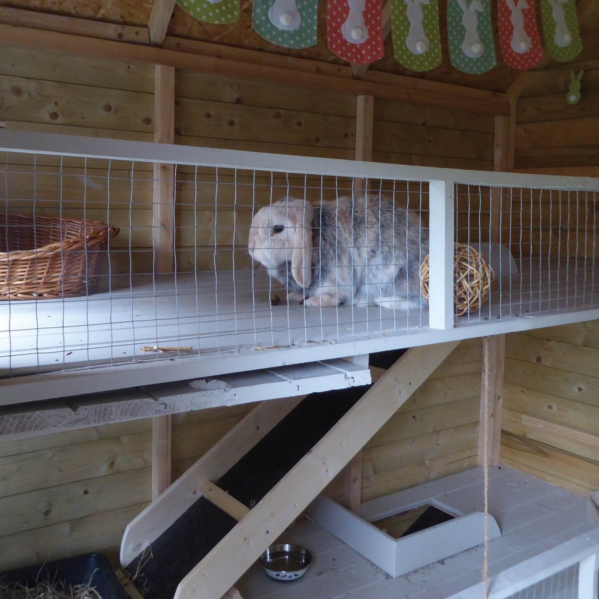 WoodgreenPets's tweet photo. The incredible wendy house converted below houses Daisy and Harvey the rabbits. It was created by one of our lovely supporters and is a star-quality example of #RoomForRabbits, but there are plenty of ways to make a home that suits your family. (1/2)
#RabbitAwarenessWeek https://t.co/Sy2fioeisu