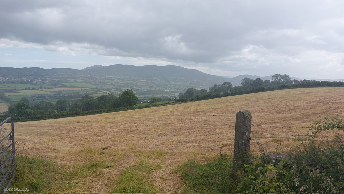 Seavers Road,Killeavy.