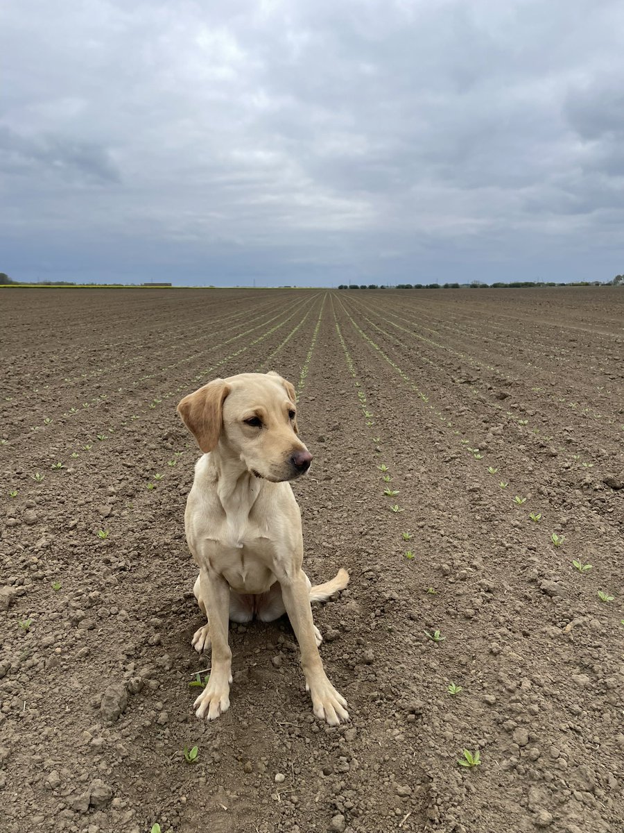 Jack Richardson tweet media