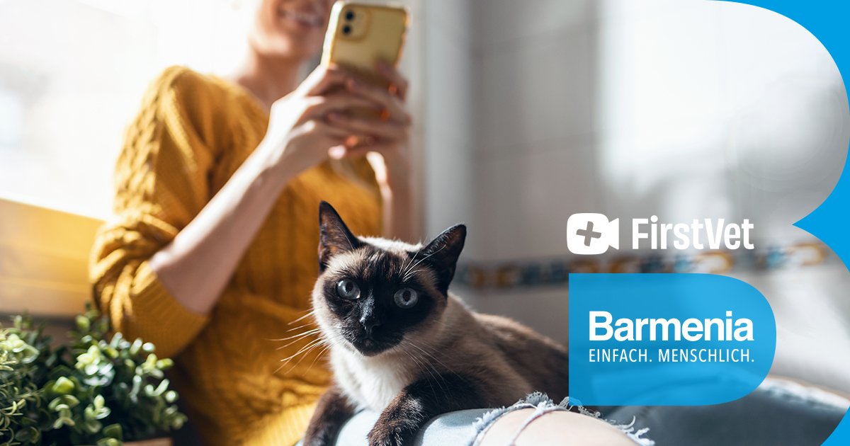 Barmenia's tweet photo. Juli =#FirstVet Monat: Kostenloser Gesundheits-Check für 🐶 und 🐱 ↗️ https://t.co/OX4Jxq5jD1 Alle, die zwischen dem 1.-31. Juli eine Tierkrankenversicherung (Basis, Top und Premium) abschließen, können mit ihrem versicherten Tier an einem digitalen Gesundheitscheck teilnehmen. https://t.co/b1SLyZW6lY