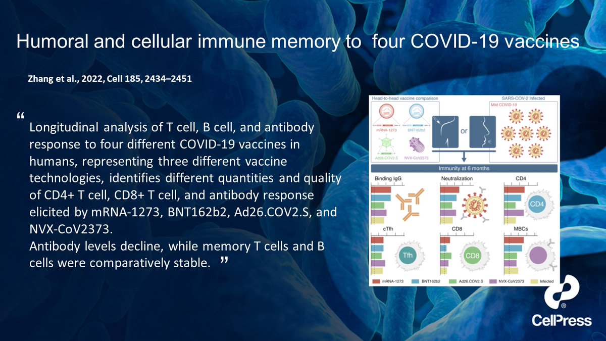 Cell Host & Microbe (@cellhostmicrobe) on Twitter photo COVID19 vaccines <a href="/CellCellPress/">Cell</a> <a href="/zhang_zeli/">Zeli Zhang</a> <a href="/jmateust/">Jose Mateus</a> @camilahcoelho @Dani6020 <a href="/profshanecrotty/">Prof. Shane Crotty</a> <a href="/SetteLab/">Alessandro Sette</a> and colleagues cell.com/cell/fulltext/… #KSViralImmunity22 #KSRespiratoryVirus22 #CellPressMicro COVID19 vaccines <a href="/CellCellPress/">Cell</a> <a href="/zhang_zeli/">Zeli Zhang</a> <a href="/jmateust/">Jose Mateus</a> @camilahcoelho @Dani6020 <a href="/profshanecrotty/">Prof. Shane Crotty</a> <a href="/SetteLab/">Alessandro Sette</a> and colleagues cell.com/cell/fulltext/… #KSViralImmunity22 #KSRespiratoryVirus22 #CellPressMicro