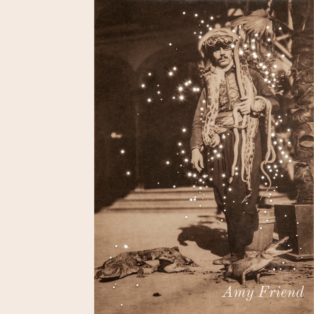 The Open Culture Collective tweet media