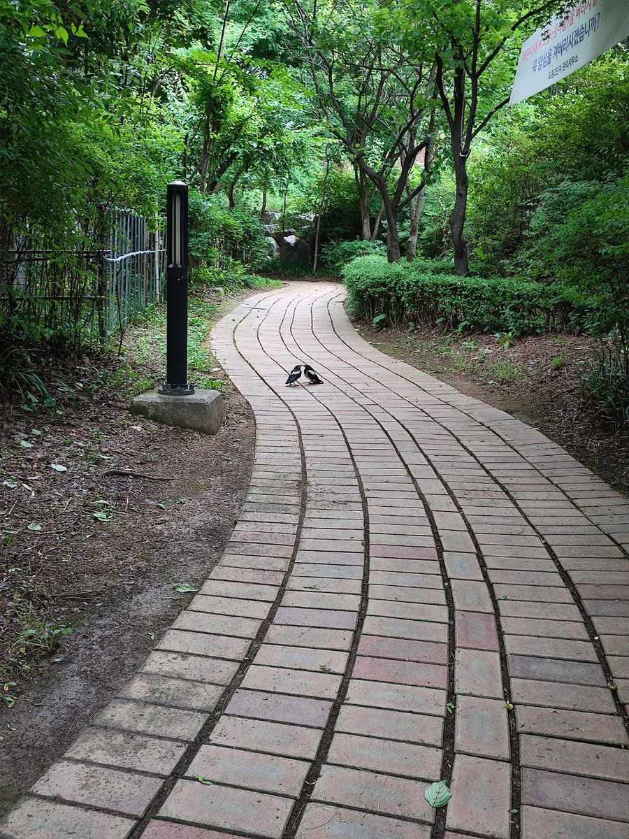 인생학교 tweet media