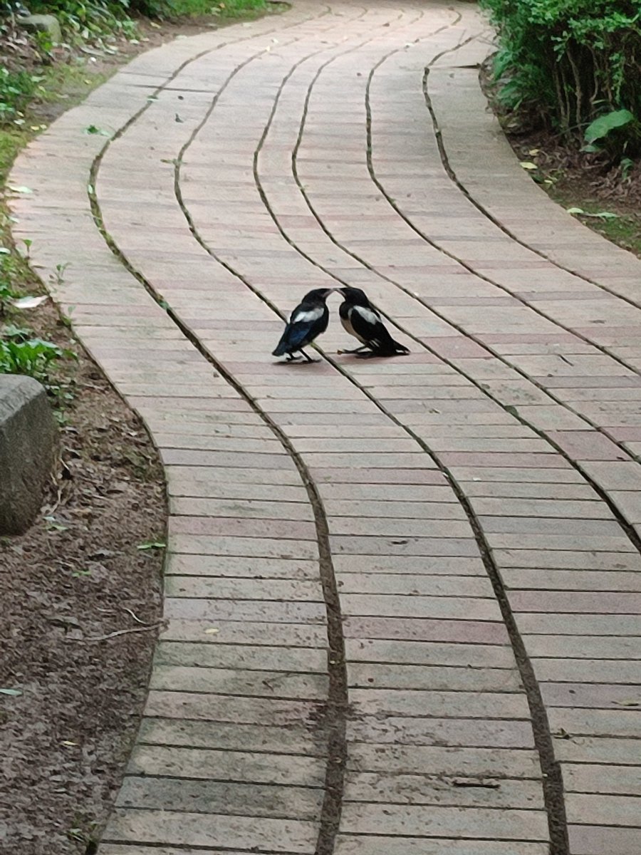 인생학교 tweet media