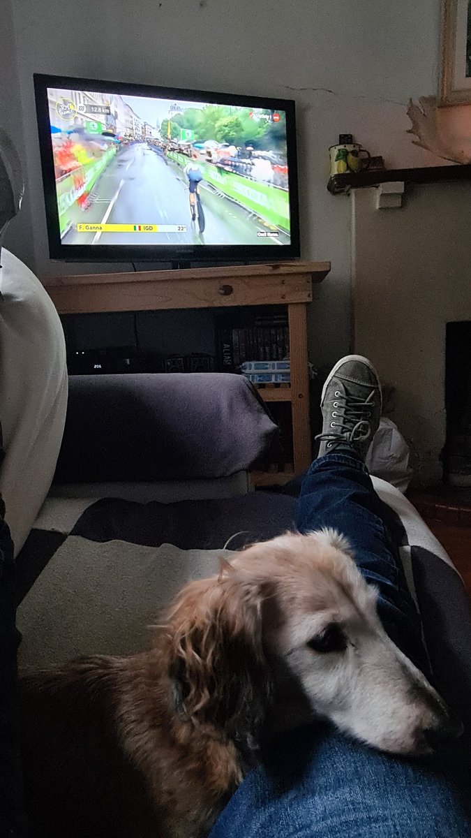 Digby Webb tweet media