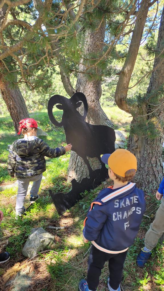 MaterCapcirGar's tweet photo. Déjà le 5ème jour de cette 1ère #ClasseTransformée avec #Théza
Pour ce dernier jour: sortie et découverte du milieu montagnard au #LacDesBouillouses #EcoleDehors
@dsden66 @sicard_suzanne @fcaillis https://t.co/9RjPCexDxk