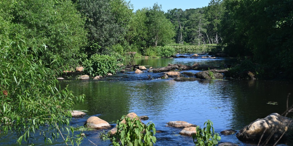 MDSeaGrant tweet media