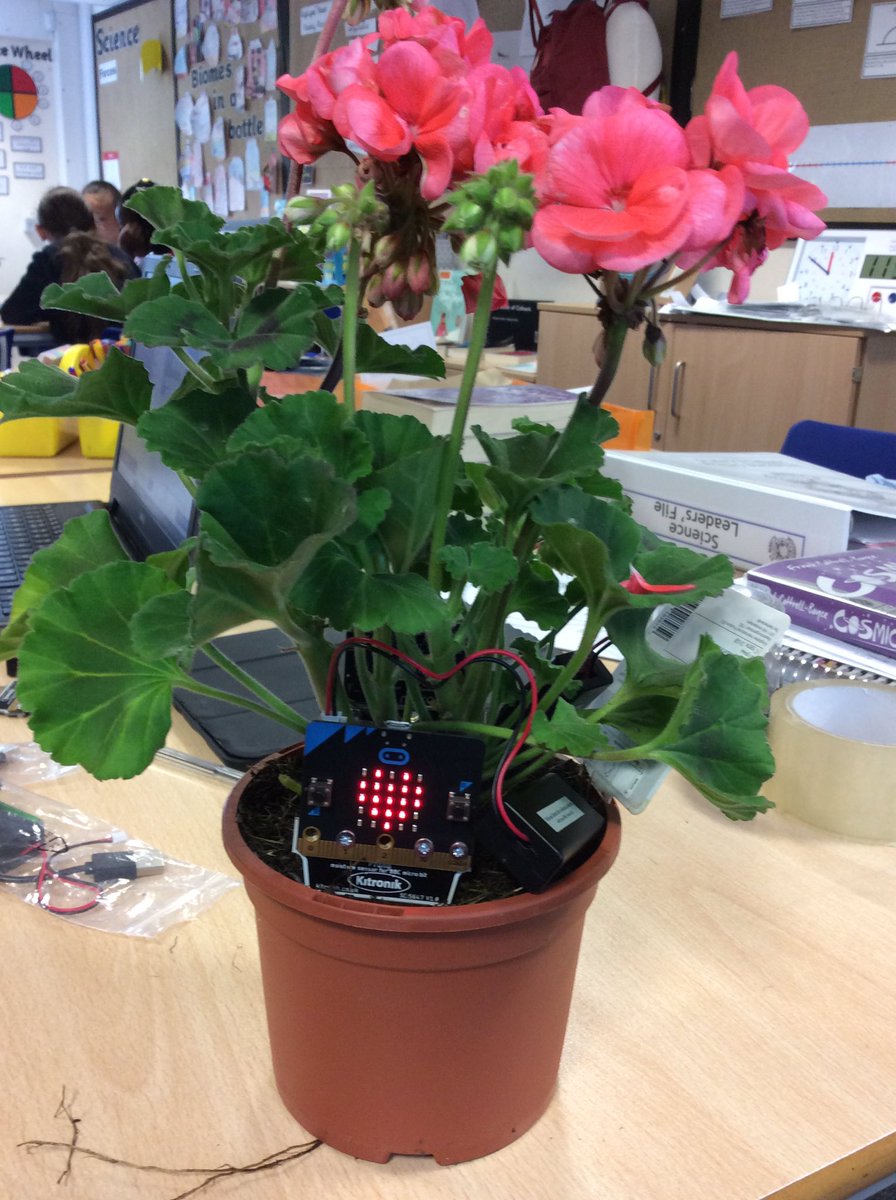 Y5_BBSM's tweet photo. Today, Year 5 used Microbits and moisture sensors to design a device that would indicate when a plant needed watering. 🌷🌻🌱🚰💦 #smbb #smbbDT #smbbcomputing https://t.co/SuX7NcMNf6