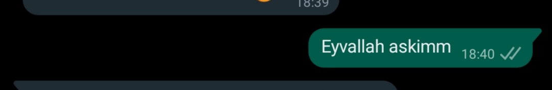 Benim kibarlılık seviyesi;