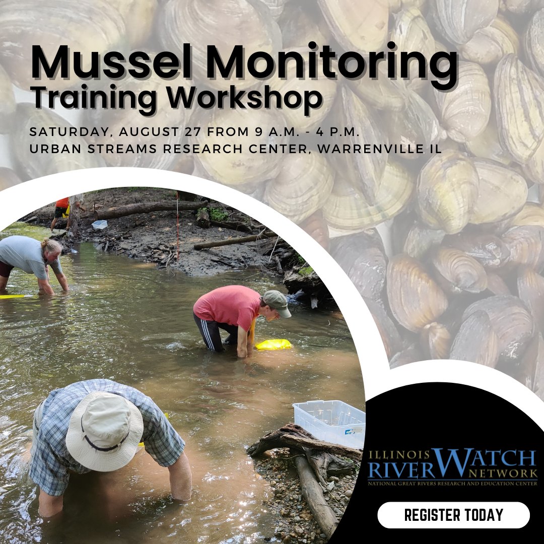 Join us to learn how to monitor for #mussels! Upon completing the training, volunteers will be able to adopt a stream site and examine freshwater mussel populations as indicators of #stream health. 

$50 registration fee. Space is limited, register today! conta.cc/3OBvbi8