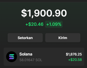jarotsol's tweet photo. am not a whale, what should i buy with this amount of sol? https://t.co/8cexdSXvje