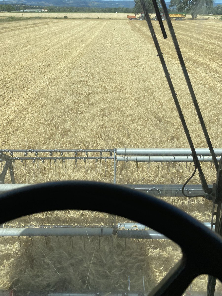 100m et fin des moissons céréale 2022 bien 3 semaines d avance