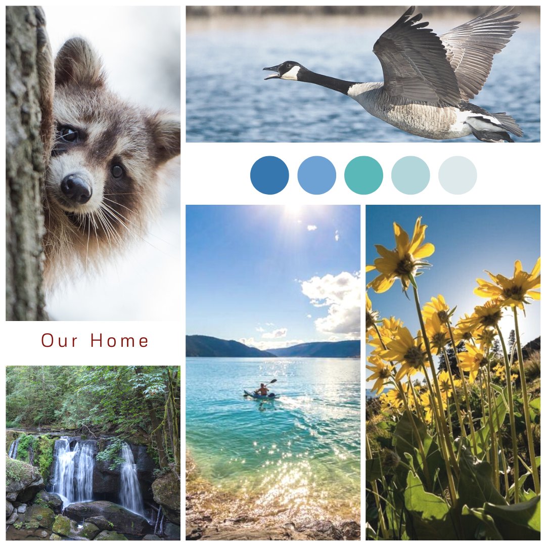 CHBA CentralOkanagan tweet media