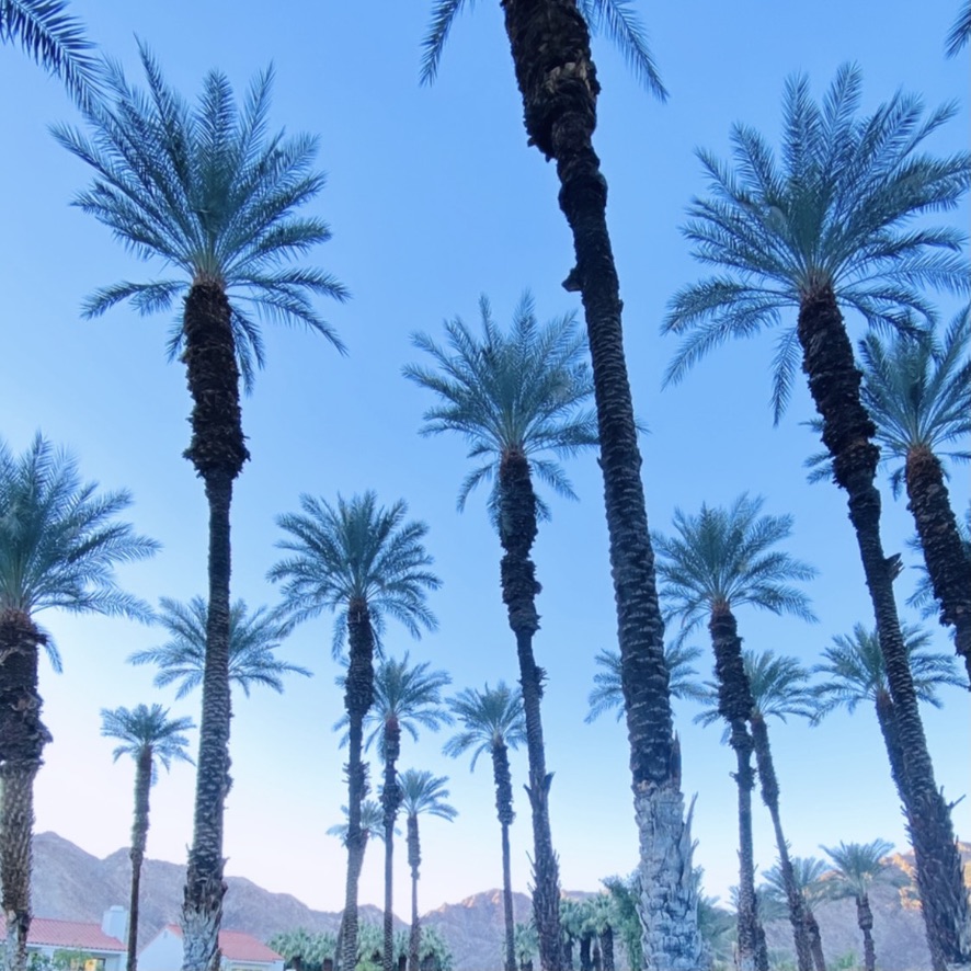 Summit Palm Desert is a place for expansion. This November our Summit crew is coming back together for the first time in many years! Join us! NOVEMBER 11-14, 2022 For an invitation please email us community@summit.co bit.ly/3aj76NY