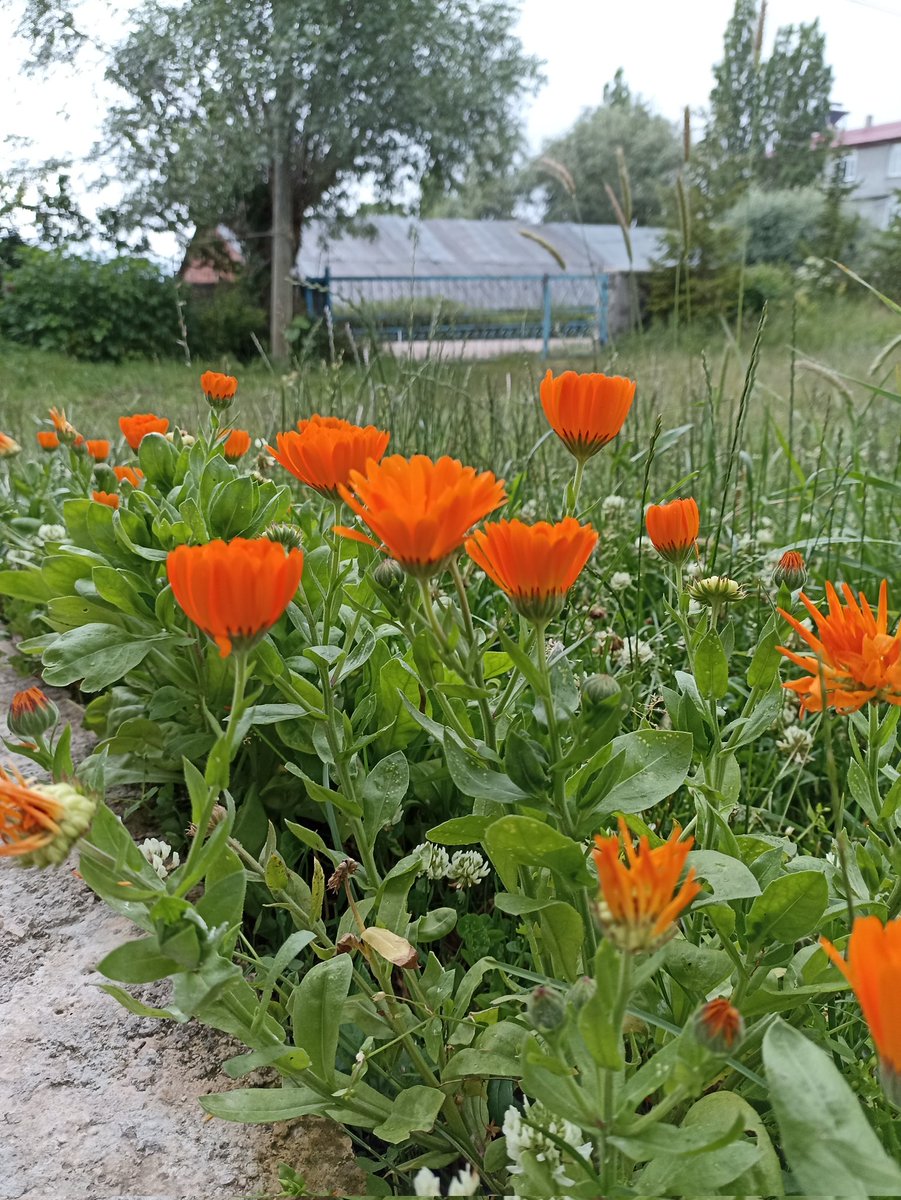 Bir insana 'eksik olma' demek ne güzel bir ifade, değil mi ? 'Eksik Olma' çünkü varlığın çok güzel. 💙 🌿 🌟