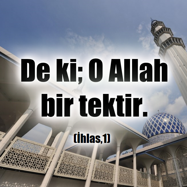 tekayet tweet picture