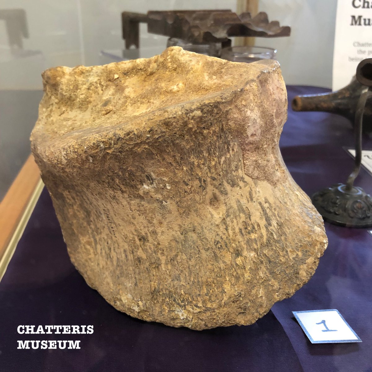 chatterismus's tweet photo. Just a few of the unusual items we currently have on display at the Library. Can you guess what they are? Pop down to Chatteris Library to take a closer look and see if you’ve guessed correctly! 

#MuseumCollection #MysteryObjects #LocalHistory #WhatIsIt #GuessTheObject https://t.co/kbdaBLLibp