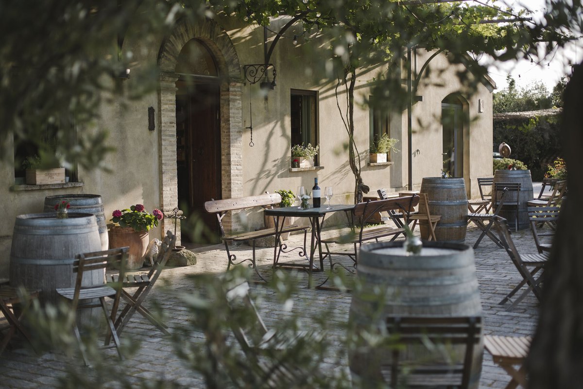 Do you love fruity and floral wines? If so, the Guerriero Del Mare 2019 could be perfect for you! 😋

This dry Italian white wine has stunning fruity and floral aromas and flavours.🇮🇹😍

This wine pairs best with seafood, cheeses and white meats!🧀🍗🐟

bit.ly/3ditRQ9