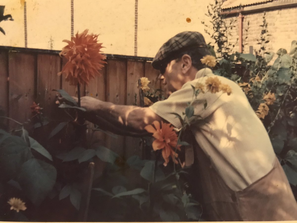 landsmith_sarah's tweet photo. My grandpa died 40 years ago, he was a steeplejack, jig & tool maker, plumber, engineer (designed plumbing for #RoyalFestivalHall) & repaired zinc roof during WW2 @NHM_London
Some of his tools he made & used are displayed @amberley_museum
#lostcrafts #lostskills #lovedahlias https://t.co/12ZJVkb1Gn