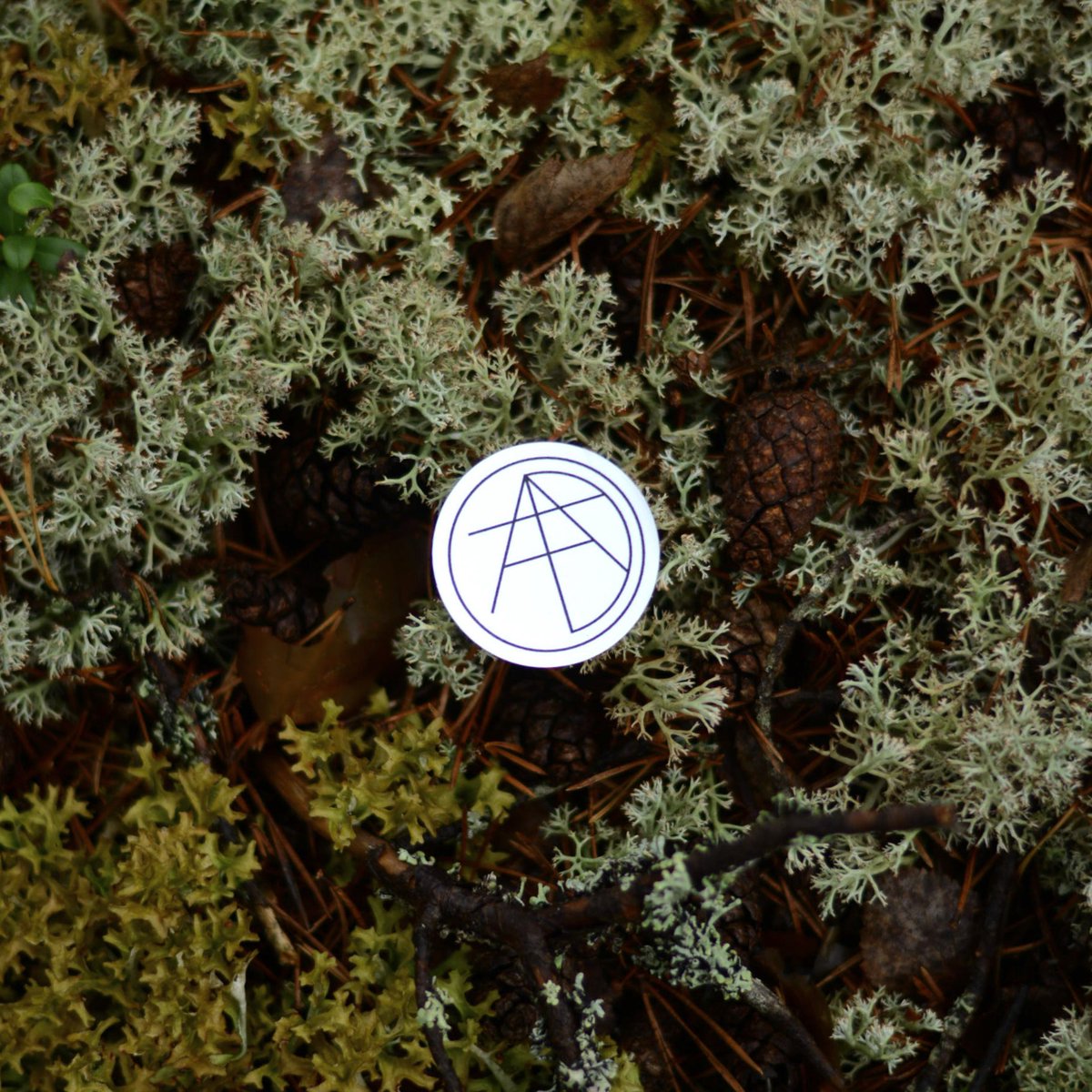 in the middle of the forest, 
where the sun never goes down 🌞
#WAAA