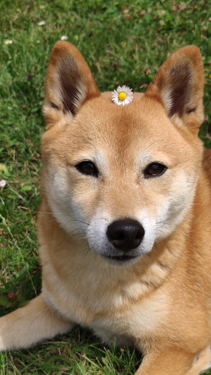 Flolisem tweet picture
