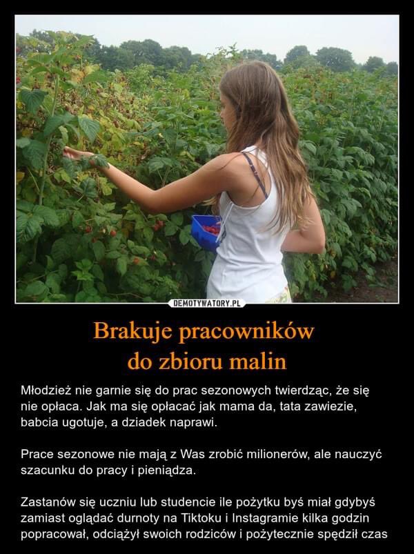 PokolenieBRW's tweet photo. to już ten moment, że januszexy zaczęły tworzyć demotywatory, żeby zachęcić młodzież do pracy za 4 zł/h https://t.co/vdvMrKkBEt