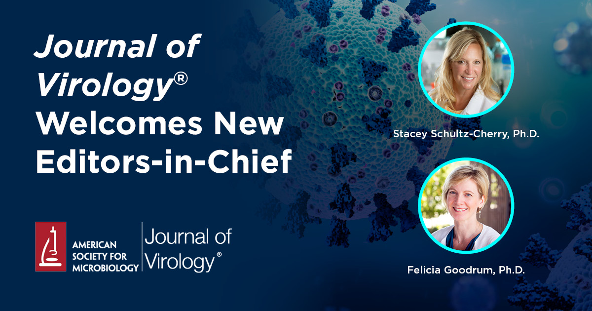 ASM (@asmicrobiology) on Twitter photo Starting today, ASM Journals is excited to officially welcome <a href="/GoodrumVirusLab/">Felicia Goodrum🇺🇦</a> and @SSClabquips as the new editors-in-chief (EiCs) of #JVirology! Read the press release for details about the editors: asm.social/DQ #Virology Starting today, ASM Journals is excited to officially welcome <a href="/GoodrumVirusLab/">Felicia Goodrum🇺🇦</a> and @SSClabquips as the new editors-in-chief (EiCs) of #JVirology! Read the press release for details about the editors: asm.social/DQ #Virology