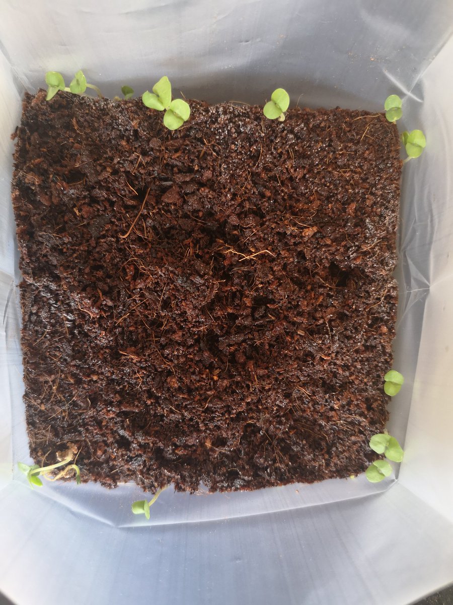 <a href="/CasavoEng/">Casavo Engineering</a> I love your gadget from #DDDEU <a href="/dominidiato/">Francesco</a>