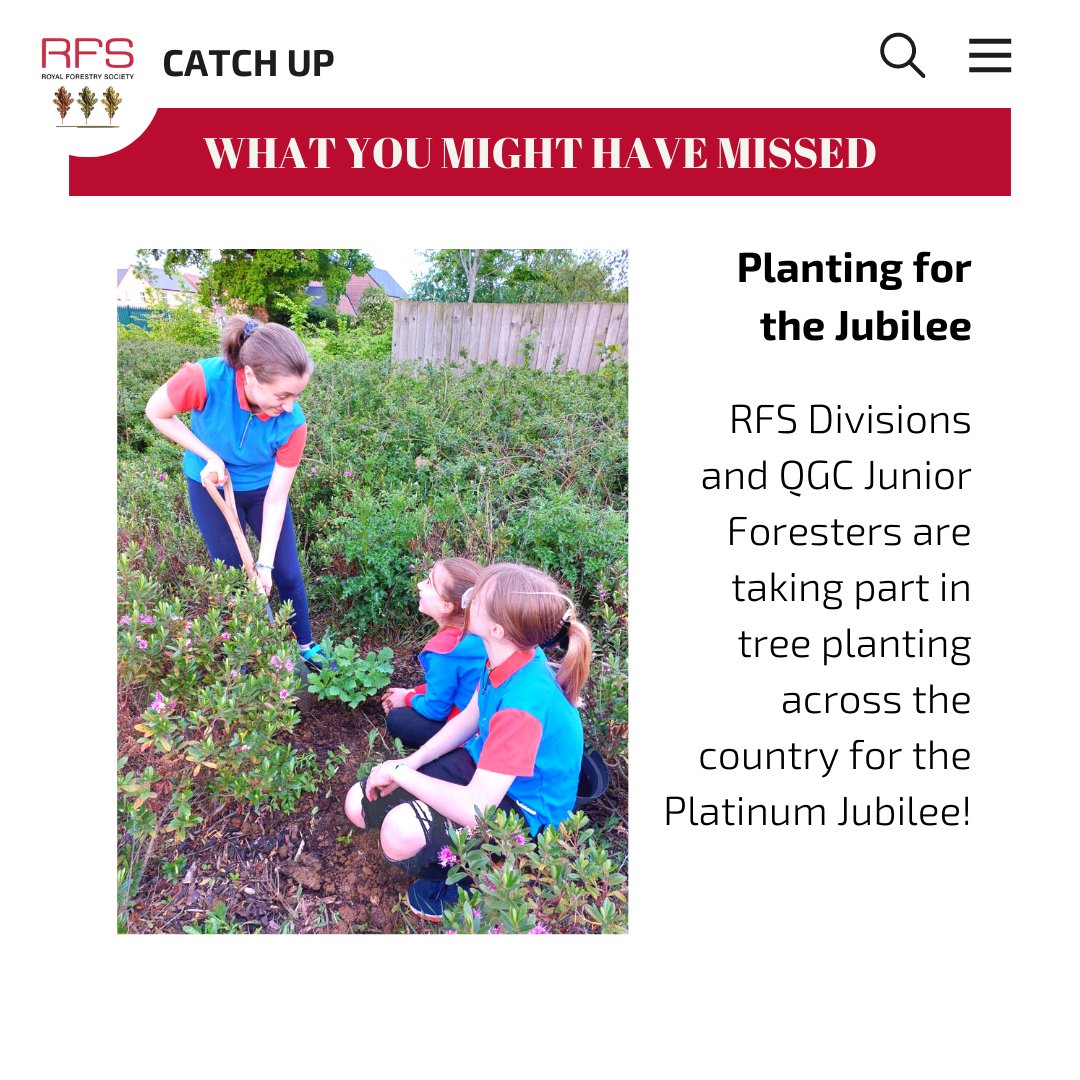 royal_forestry's tweet photo. Did you know that to get forestry updates directly to your inbox with this and SO MUCH MORE! If you want more than this little catch up teaser JOIN NOW!

#news #forestrynews #updates #trees #tipis #FENE #education #treeplanting #QJF #journal #RFSmembers #perks #join https://t.co/RDTeLwXn8i