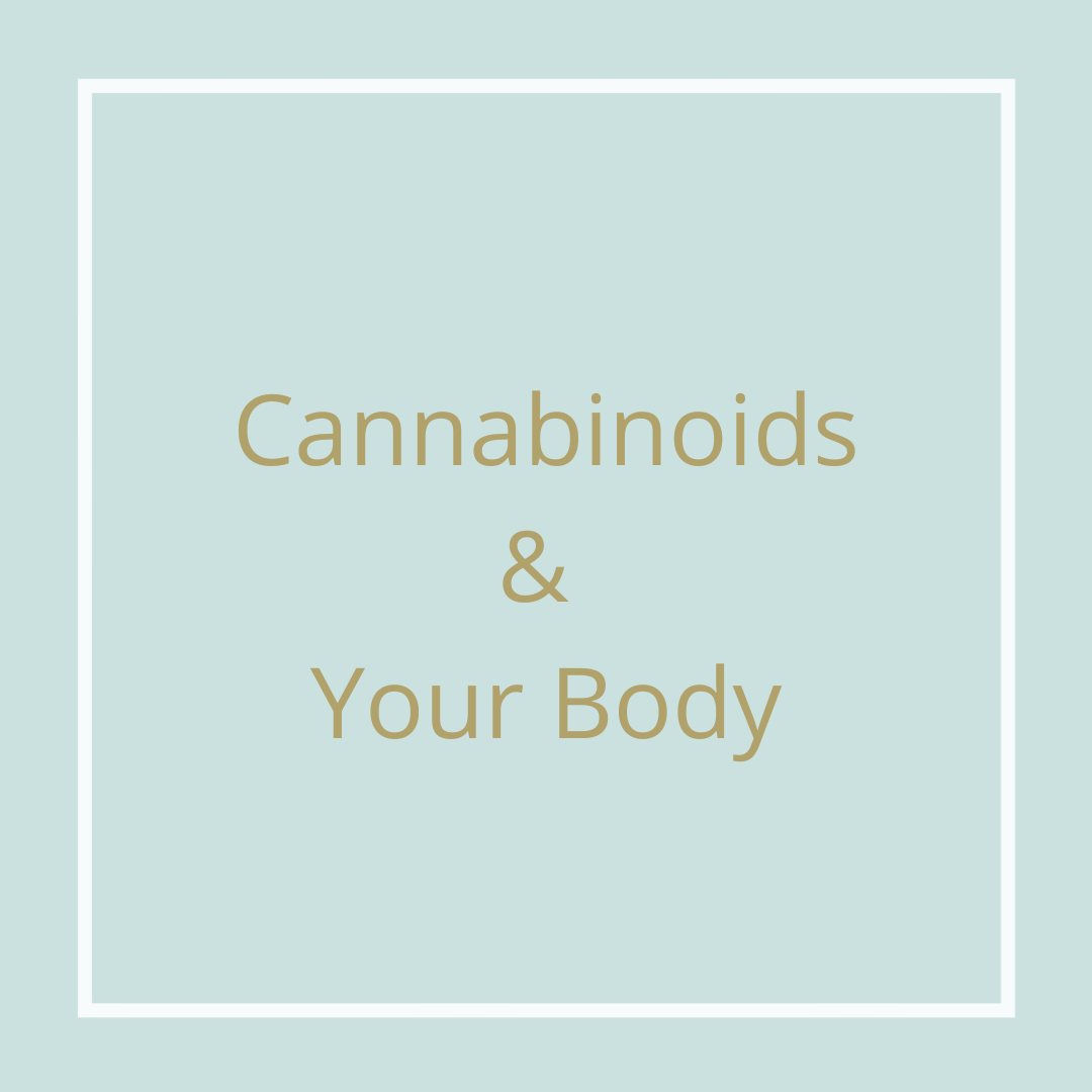 LifeSparkCBD's tweet photo. Your body naturally produces cannabinoids in endocannabinoid system. Cannabinoids affect one’s mood, pain, immune system, and overall health. Sometimes your body needs to top up your cannabinoids and CBD is a perfect way to accomplish that. That is where Life Spark CBD comes in! https://t.co/4d3a4E2M1X
