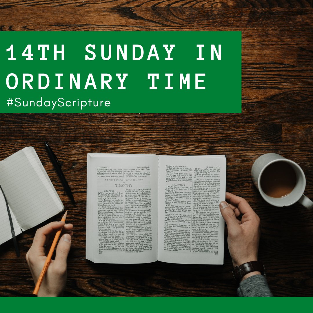 St. Pius X Church tweet media