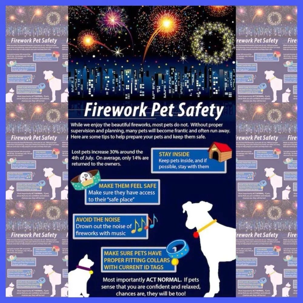 BCGSR (@bc_gsr) on Twitter photo 