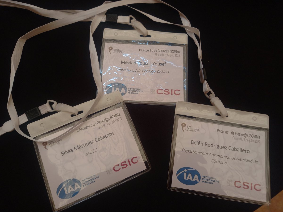 🎉Hoy estamos en la Reunión de Gestores de <a href="/SOMM_alliance/">SOMM alliance</a> aprendiendo sobre gestión de la investigación de excelencia🚀

Gracias a <a href="/iaa_csic/">IAA-CSIC</a> por la acogida 💖