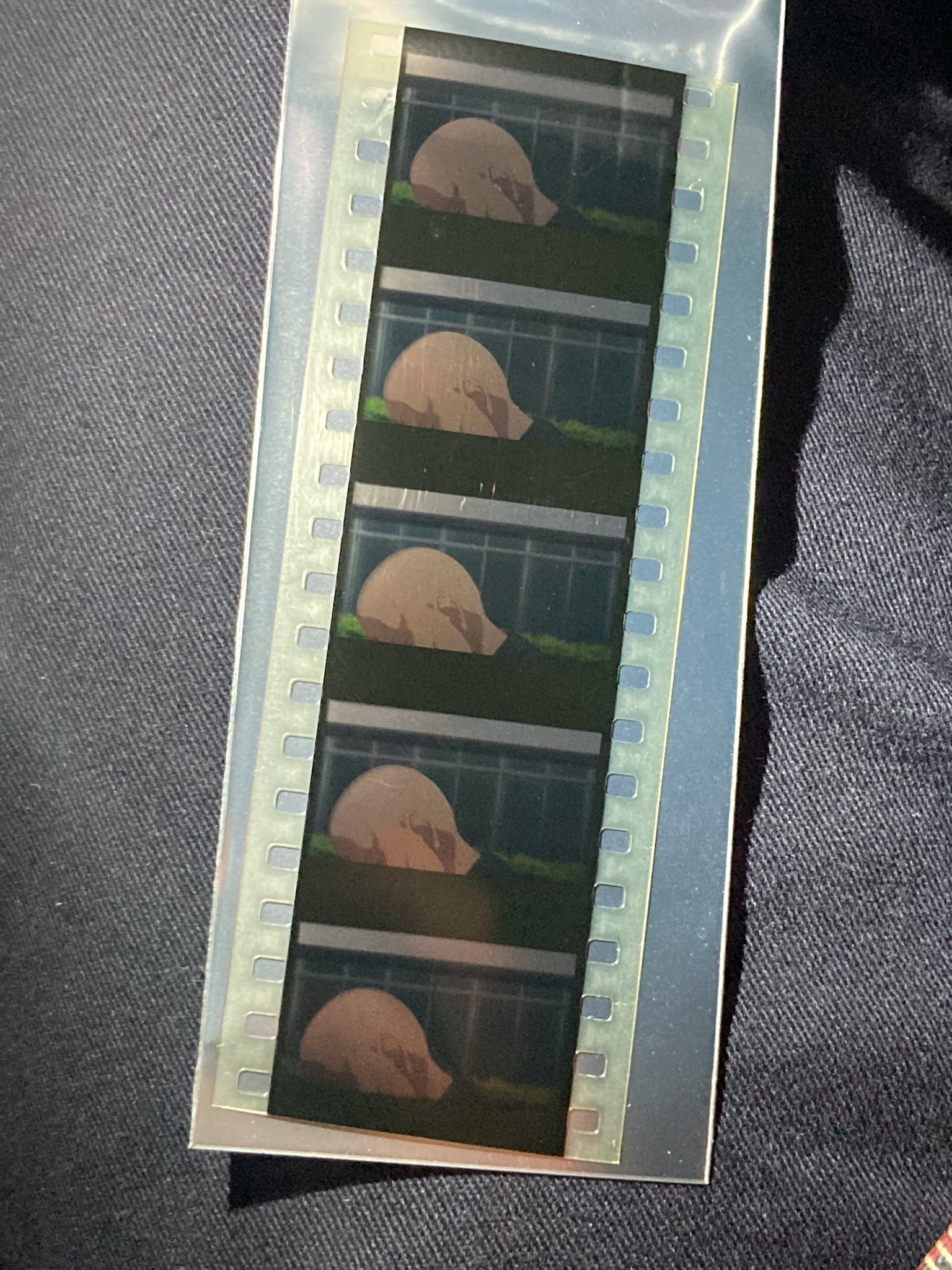 映画 五等分の花嫁 入場者特典 生コマフィルム
