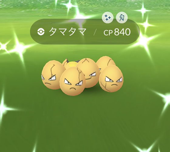 ポケモンgo タマタマの入手方法 能力 技まとめ 攻略大百科 ポケモンgo タマタマの入手方法 能力 技まとめ 攻略大百科