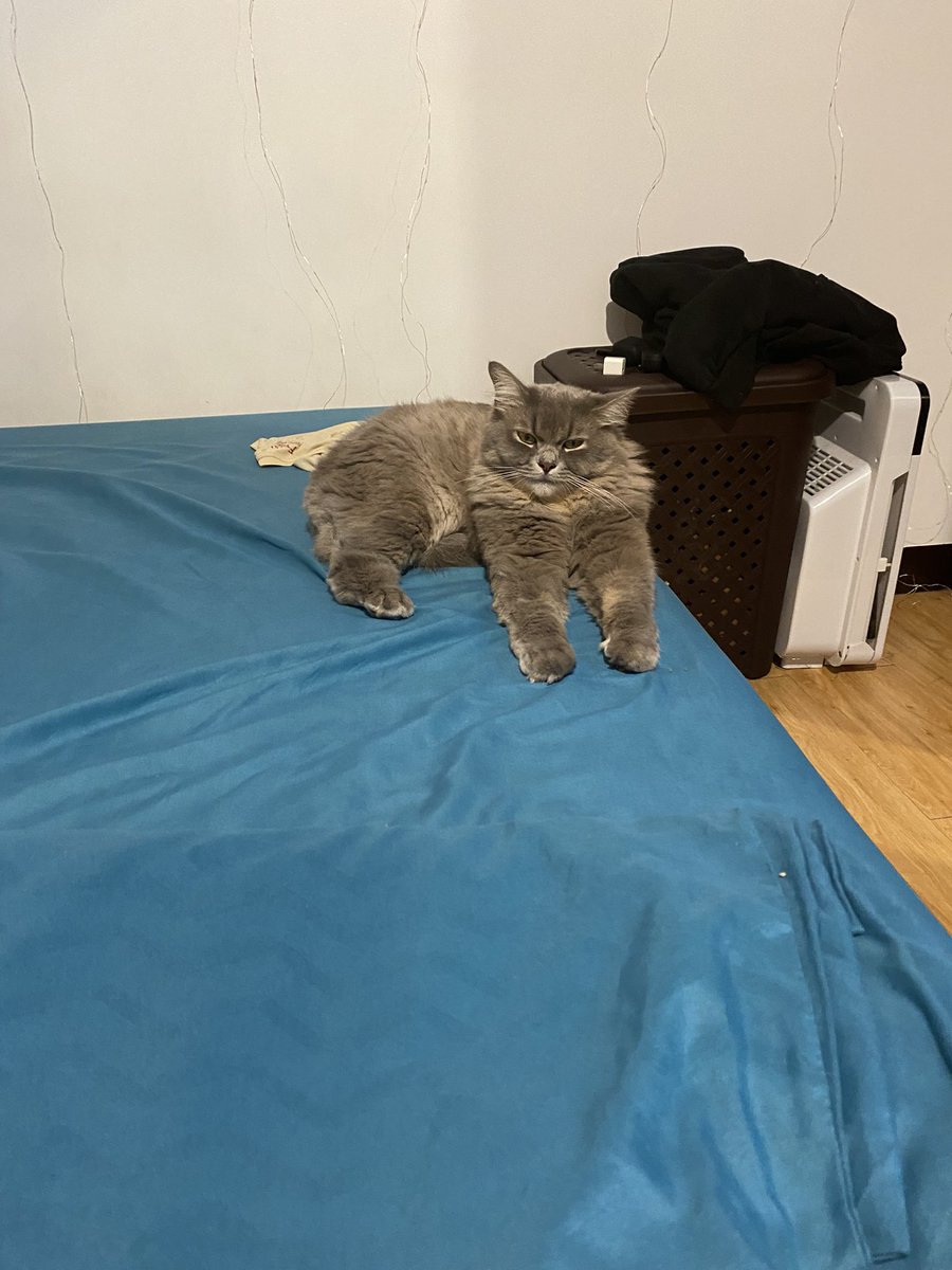 prettybboycat's tweet photo. do i look like a joke to u https://t.co/ehexeBQEZh