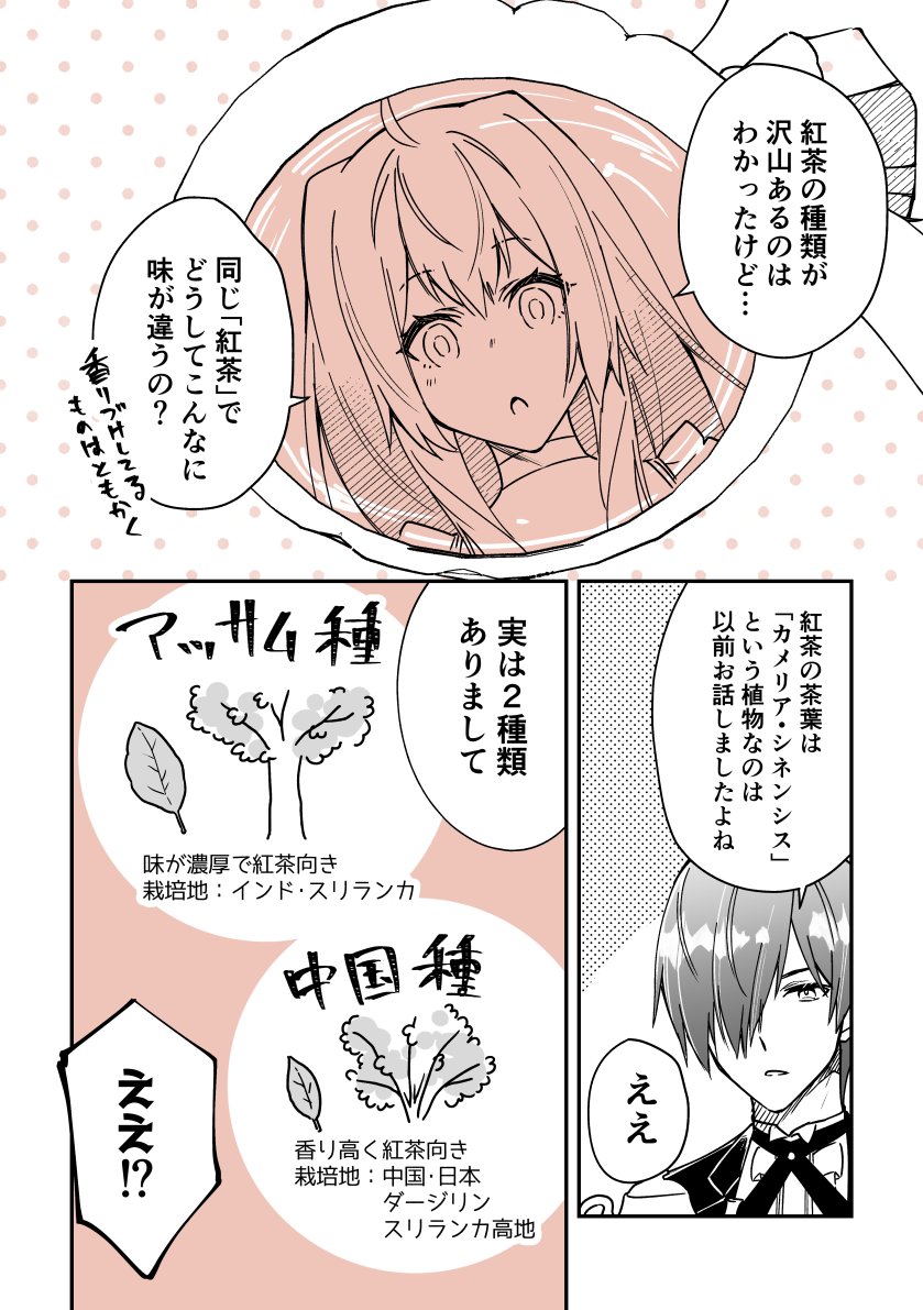 執事×令嬢で紅茶雑学まんが⑧🫖☕️
「紅茶の種類②」

#漫画が読めるハッシュタグ 
#創作男女 
#紅茶  #雑学 