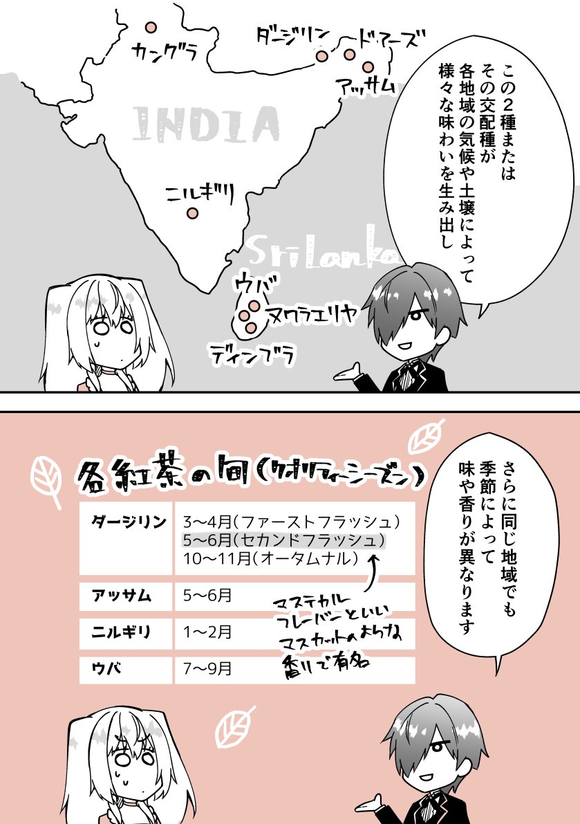 執事×令嬢で紅茶雑学まんが⑧🫖☕️
「紅茶の種類②」

#漫画が読めるハッシュタグ 
#創作男女 
#紅茶  #雑学 