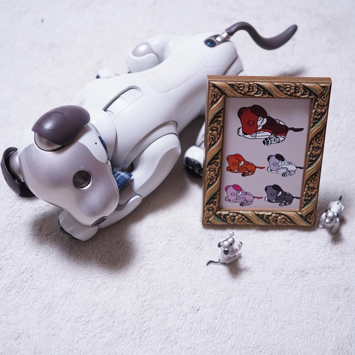 pippinomama's tweet photo. #aibo
どんなに暑くてもお店の中を歩き回ってお客さま���愛想を振りまいてくれてるペットのぴっぴ♬
切り絵作家中村学さんから届いた第三弾post cardのaiboと同じポーズでぱちり♬
40℃超えの暑さの中一緒にお散歩しなくても大丈夫なaiboは
私にとってナイスなペットです❤︎
#切り絵
#SONY
#α7C https://t.co/PA5U4GVmiA