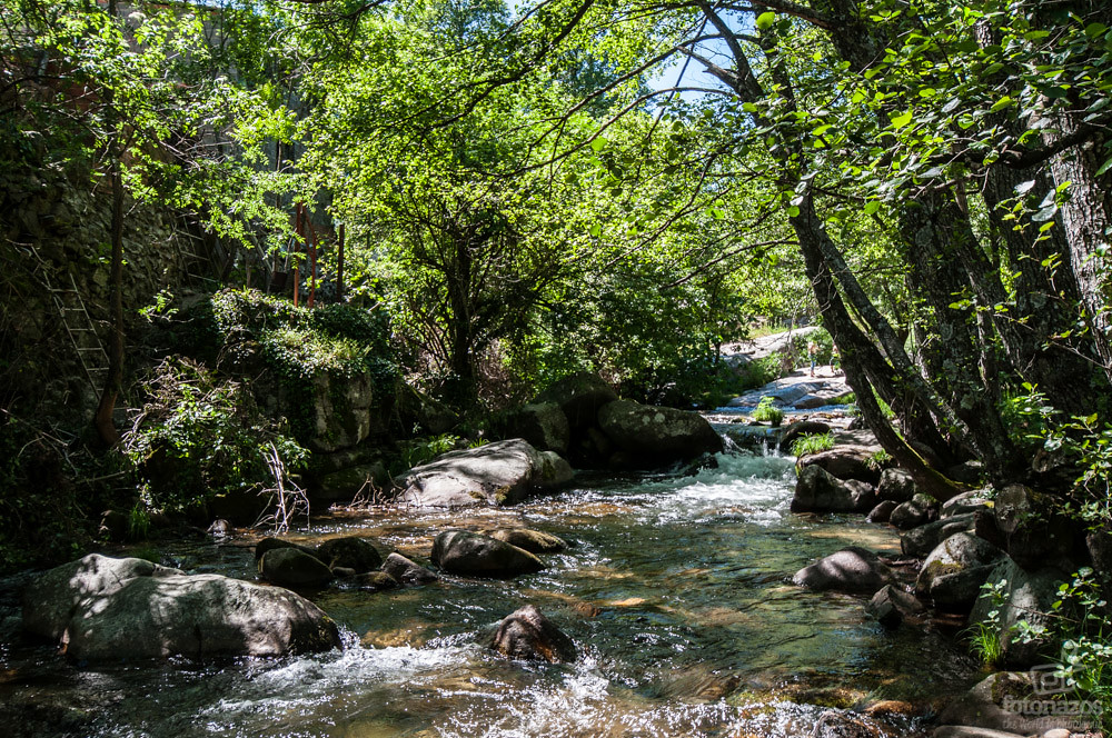 En la web de Extremadura Turismo proponen 15 planes para hacer en Extremadura relacionados con la naturaleza, la cultura y gastronomía extremeña.
¡Os esperamos!

Visto en: <a href="/Extremadura_tur/">Extremadura Turismo</a> 
Pág. web: bit.ly/3ywTo3H
Foto: Jesús Pérez Pacheco en Flickr.com