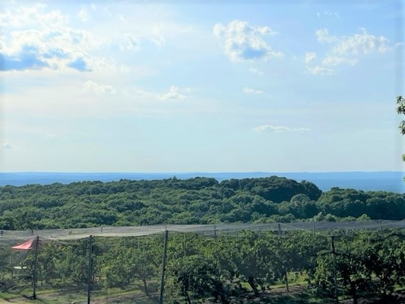 CTHFMA's tweet photo. Thanks for coming out to our June Networking Event at Crystal Ridge Winey. Great views, Great time, Great Company #CTHFMA https://t.co/rgaBHKcXP1