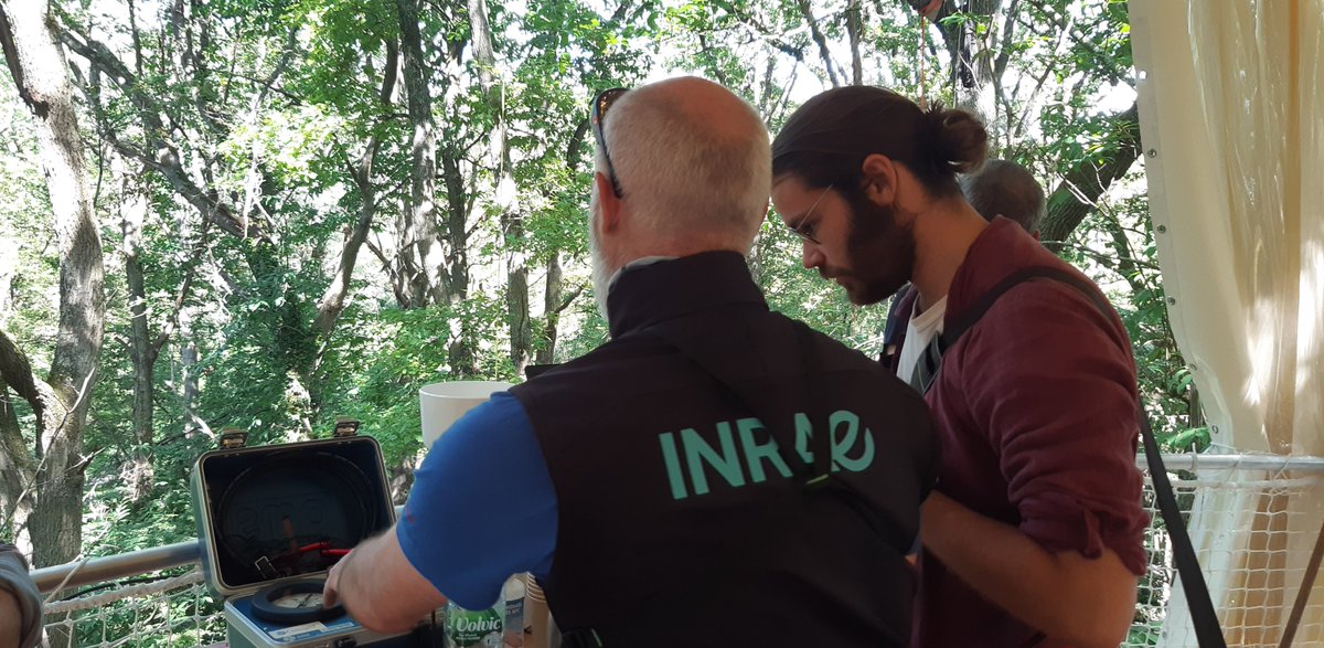 Toujours plus proche de la nature, avec la découverte de la canopée sur le site de l'<a href="/IRBI_Tours/">IRBI</a> pour approfondir les connaissances du milieu forestier. 

Avec <a href="/EntomoC/">EntomoCentre</a>, @UnivTours, <a href="/INRAE_VDL/">INRAE Val de Loire</a> 
#labo #insecte #recherche