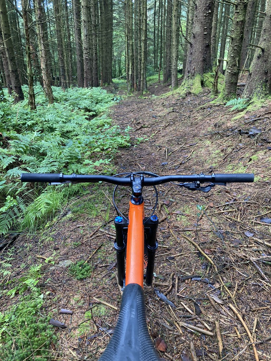 JulianJ80289895's tweet photo. Pedal around my local b4 work… out in the rain, home in sunshine and totally covered in 🐑💩🤦🏻… Friday hardtail fun 🤘😝…… #Absoulatemtb #mtblife #mtb #mtbhardtail #ridecannondale #walesneverfails #lovewhereyoulive
#lifebehindbars #hardtaillife https://t.co/ADetFh4mGU